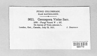 Cercospora violae image